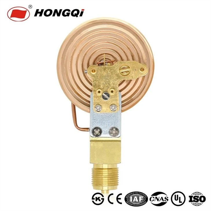 YE-100 Diaphragm Type Capsule Low Pressure Gauge